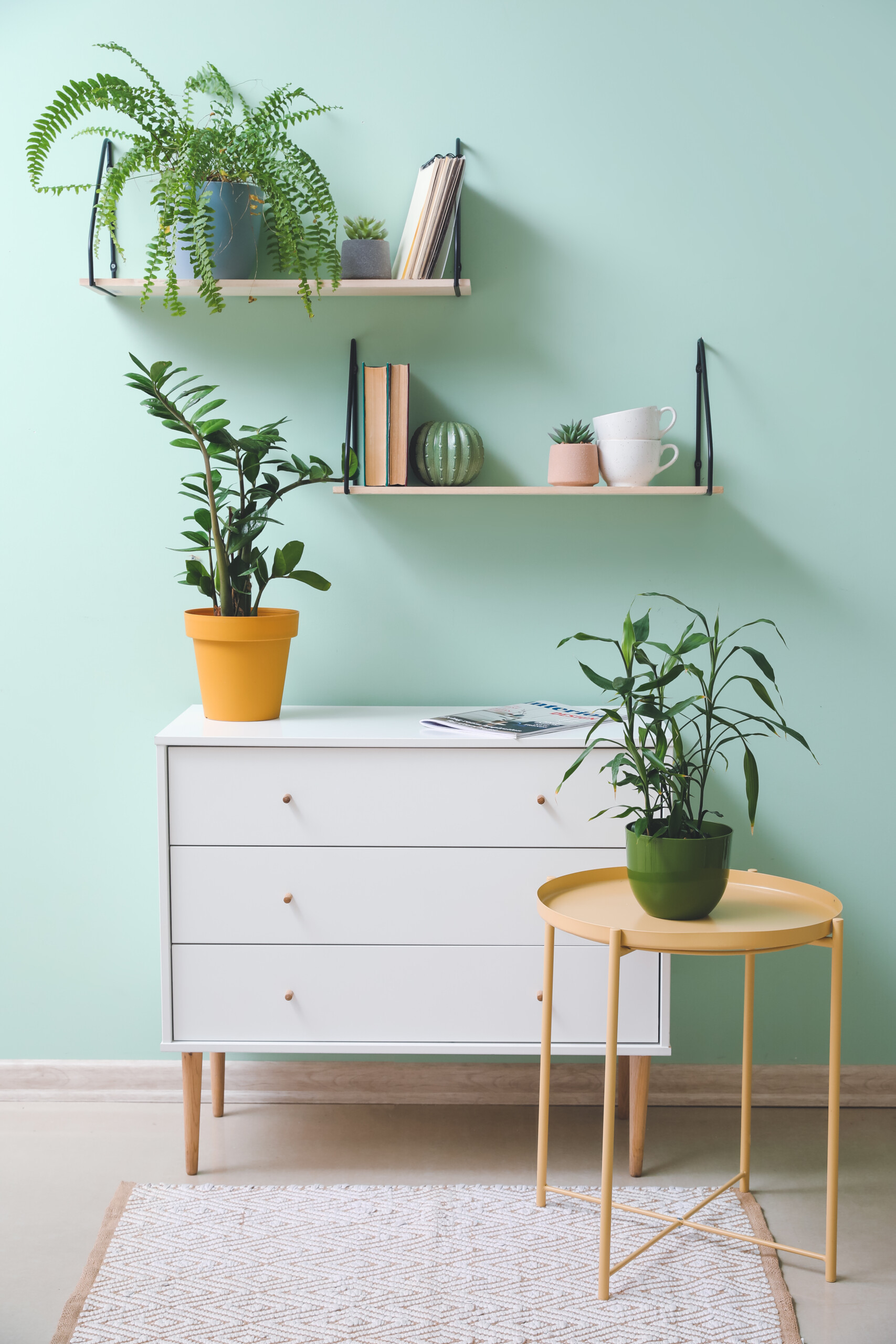 mint-green-wall-interior-scaled.jpeg